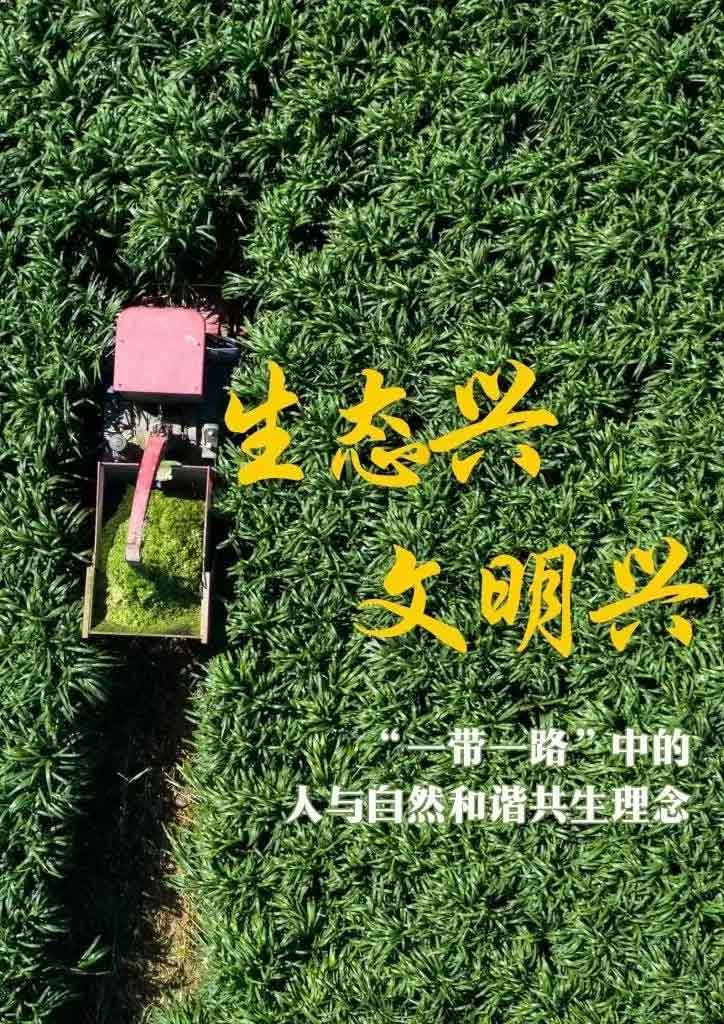 “一帶一路”高峰論壇丨生態(tài)興 文明興，“這是一條綠色可持續(xù)發(fā)展之路”